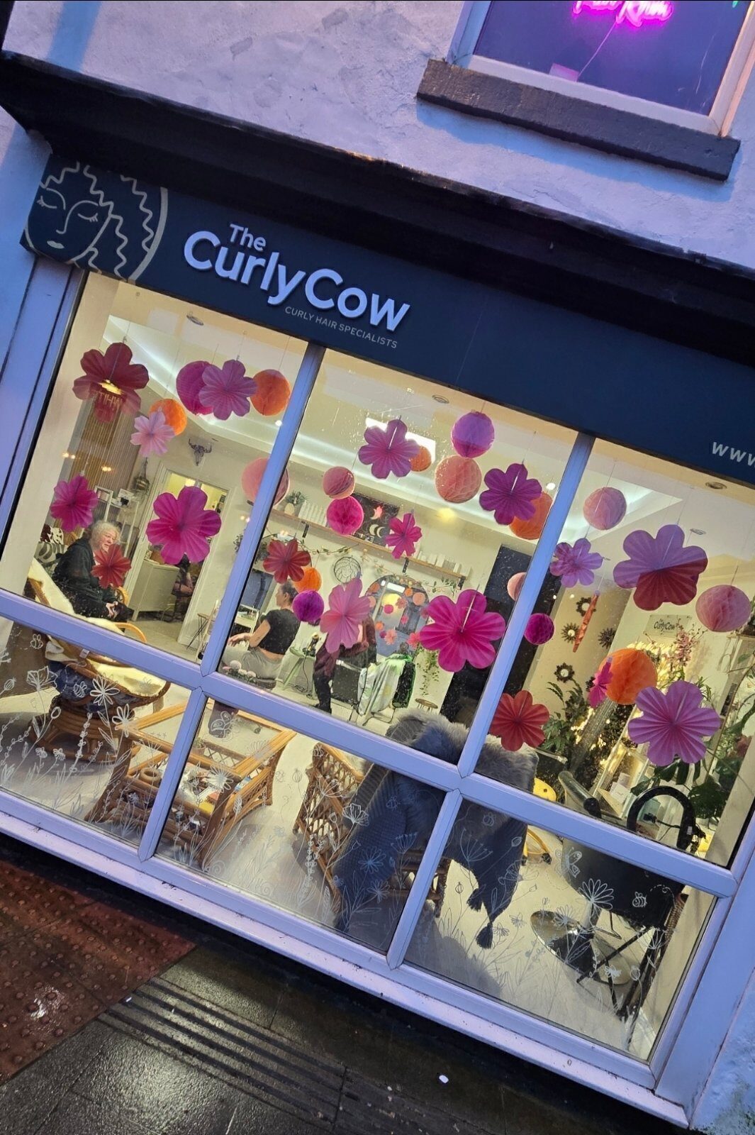The Curlycow